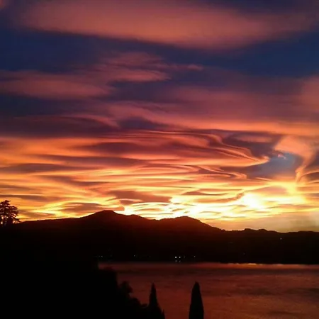 Bella Fra *